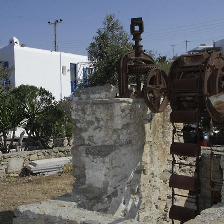 Vienoula'S Garden Hotel Mykonos Town Dış mekan fotoğraf