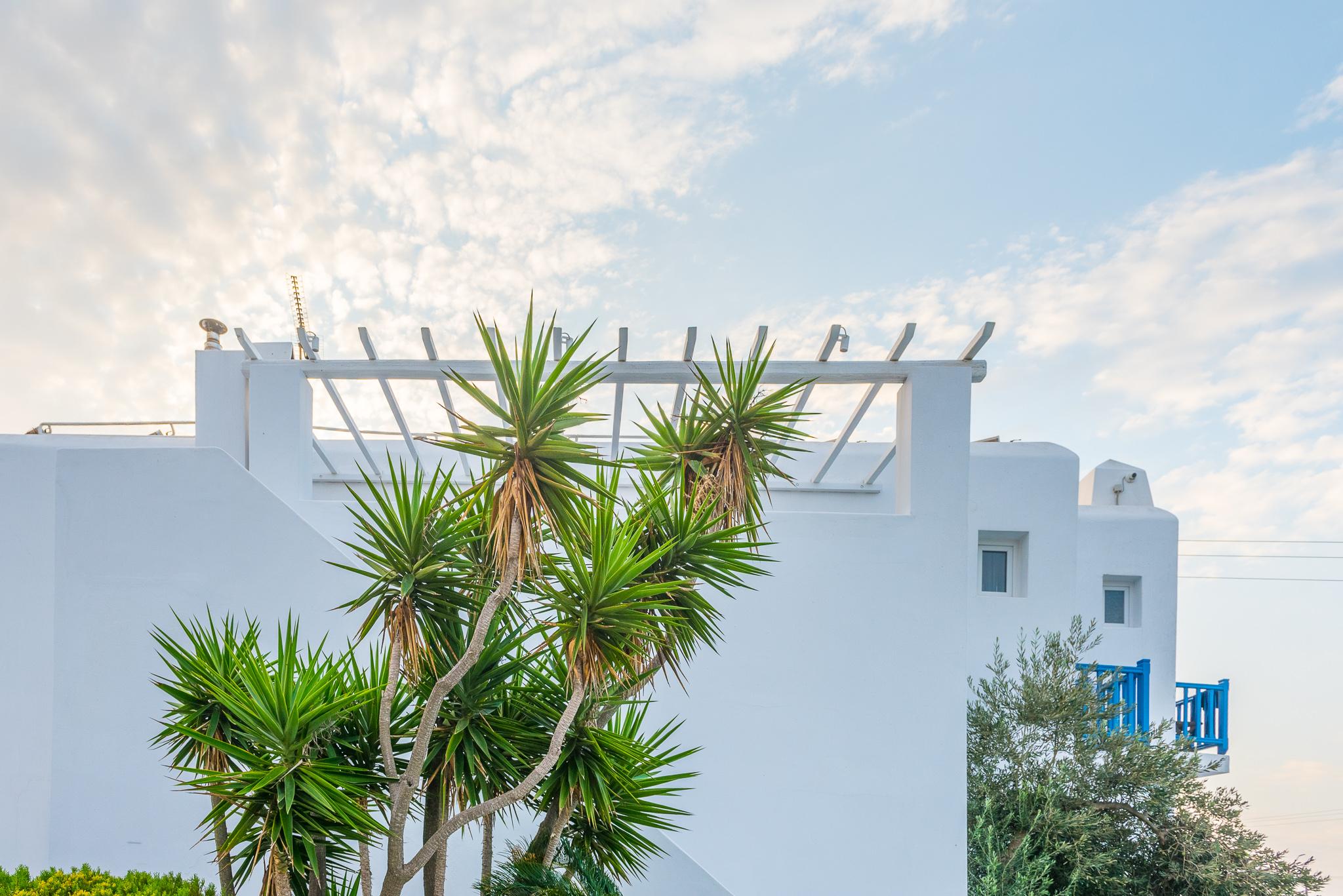 Vienoula'S Garden Hotel Mykonos Town Dış mekan fotoğraf