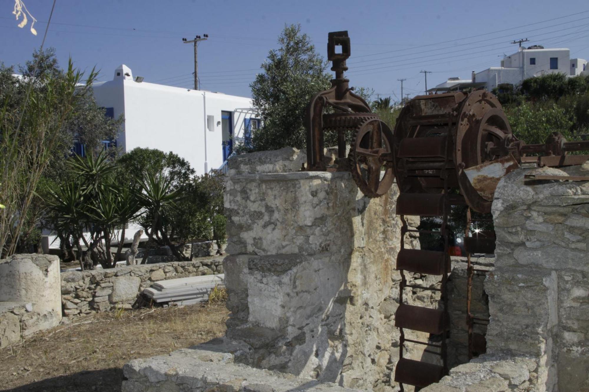 Vienoula'S Garden Hotel Mykonos Town Dış mekan fotoğraf